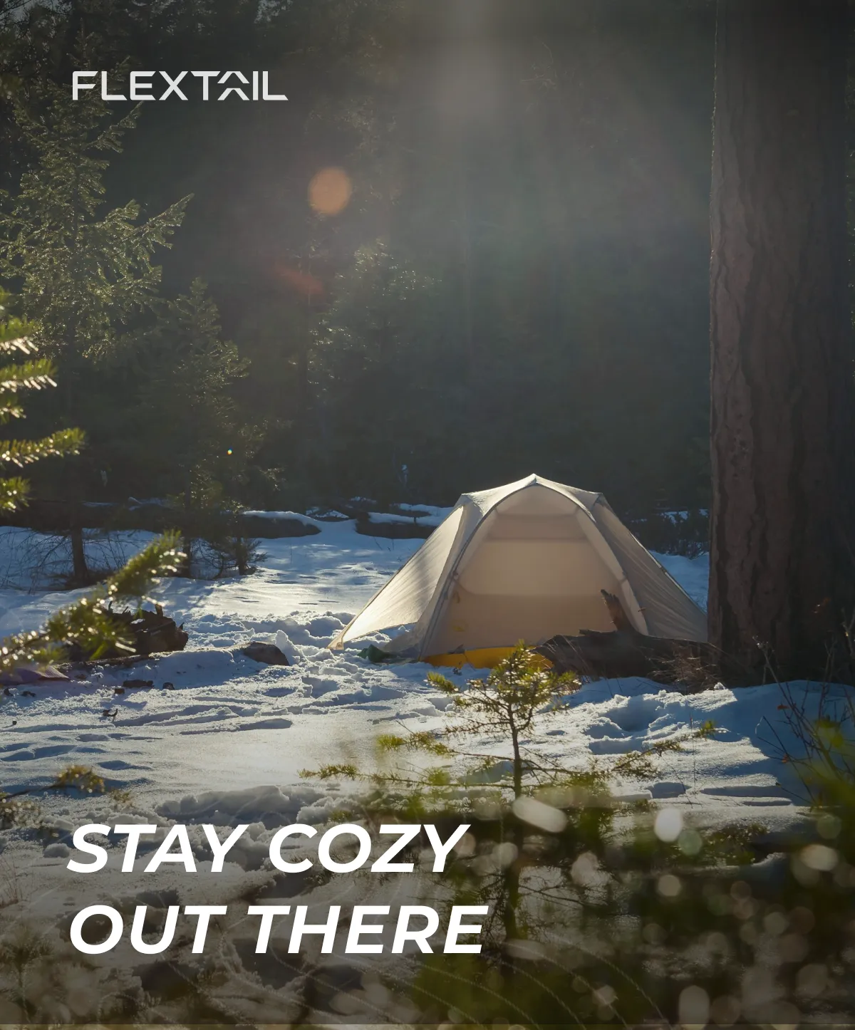 https://www.flextail.com/